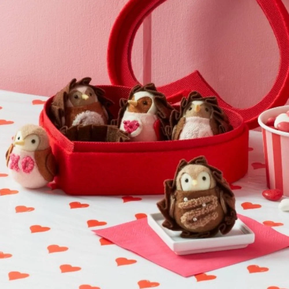Target Featherly Friends Chocolate Box Valentine's Day NWT